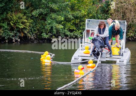 Das Great Warrington and Latchford Duck Race Stockfoto