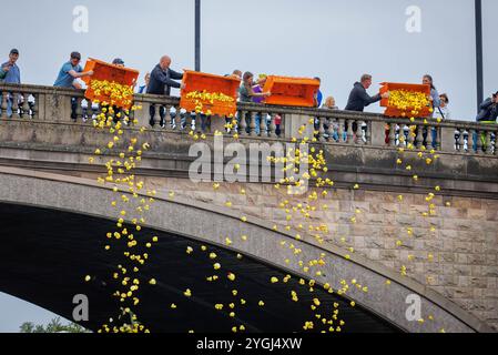 Das Great Warrington and Latchford Duck Race Stockfoto