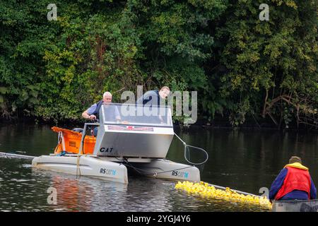 Das Great Warrington and Latchford Duck Race 2024 – Abgeordnete Charlotte Nicholls hilft dabei, die Enten zu sammeln, die über die Ziellinie geflohen sind Stockfoto