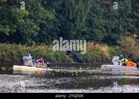 Das Great Warrington and Latchford Duck Race 2024: Zwei Boote werden verwendet, um die Enten zu sammeln, die an der Ziellinie entkommen sind Stockfoto