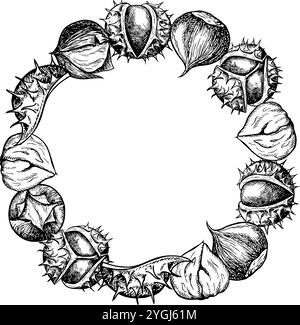 Der Rahmen ist rund mit Kastanienfrüchten. Vektorgrafiken, die einen Rahmen von Kastanienfrüchten in der Schale und ohne Schale darstellen, gebraten und roh. Ein Schwarz Stock Vektor