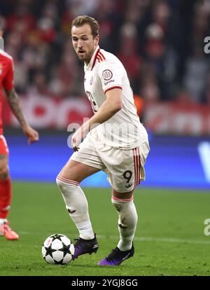 MÜNCHEN, DEUTSCHLAND - 06. NOVEMBER: Harry Kane von Bayern Muenchen e beim Spiel der UEFA Champions League 2024/25 Phase MD4 zwischen dem FC Bayern München und SL Benfica in der Football Arena München am 06. November 2024 in München. Stockfoto