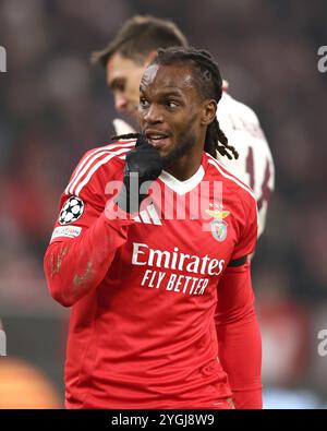 MÜNCHEN, DEUTSCHLAND - 06. NOVEMBER: Renato Sanches von Benfica Lissabon sieht beim Spiel der UEFA Champions League 2024/25 Phase MD4 zwischen dem FC Bayern München und SL Benfica in der Football Arena München am 06. November 2024 in München an. Stockfoto