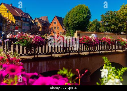 Sommerblick auf das Viertel Little Venice in Colmar am Ufer des Kanals, Frankreich Stockfoto