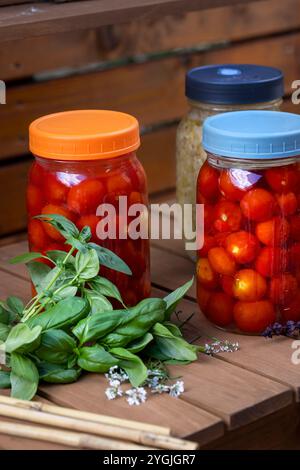 Holztheke im Gartenwagen und einmachgläser mit fermentierenden Kirschtomaten und Kohl, umgeben von frischem Basilikum und thailändischem Basilikum und Strohhut Stockfoto