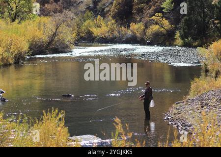 Fliegenfischen im Waterton Canyon Colorado Stockfoto