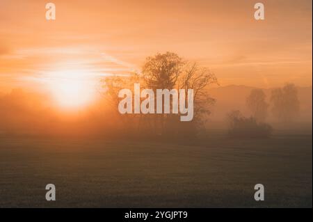 Stimmungsvolle Nebellandschaft bei Sonnenaufgang auf einer Herbstwiese im Allgäu. Mit Silhouetten von unbelaubten Bäumen und Bergen, über denen die Morgensonne runtergeht Stockfoto