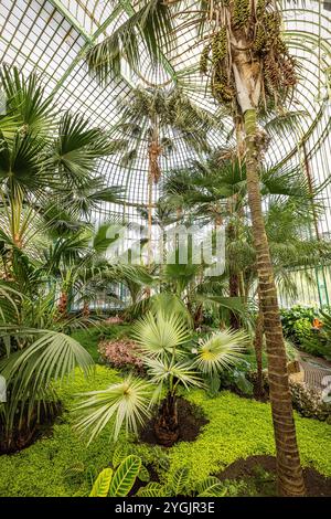 Königliche Gewächshäuser Laeken. Brüssel, Region Brüssel-Hauptstadt, Belgien. Stockfoto
