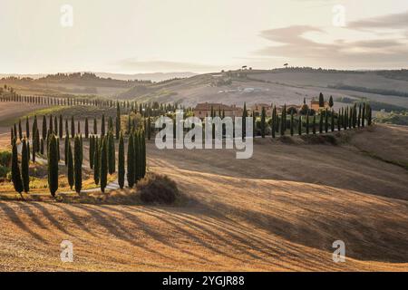 Agriturismo Baccoleno in der Nähe von Asciano im goldenen Abendlicht Stockfoto