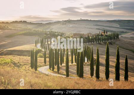 Agriturismo Baccoleno in der Nähe von Asciano im goldenen Abendlicht Stockfoto