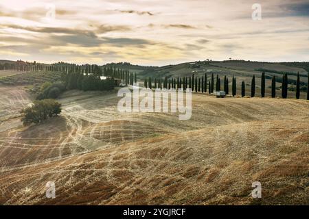 Agriturismo Baccoleno in der Nähe von Asciano im goldenen Abendlicht Stockfoto