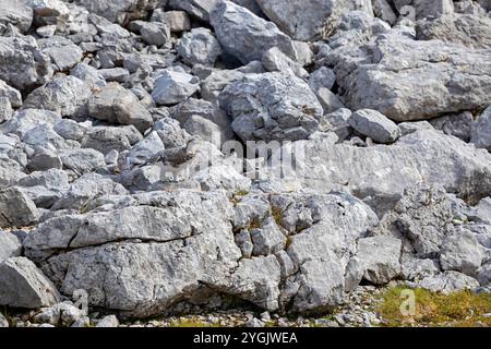 Steinschneehuhn (Lagopus muta, Lagopus mutus), Weibchen sitzt gut getarnt auf einem Felsen, Deutschland, Bayern Stockfoto