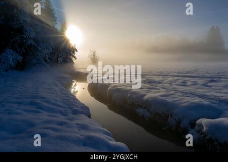 Nebel über schneebedecktem Moor bei Sonnenuntergang, Deutschland, Bayern, Murnauer Moos Stockfoto