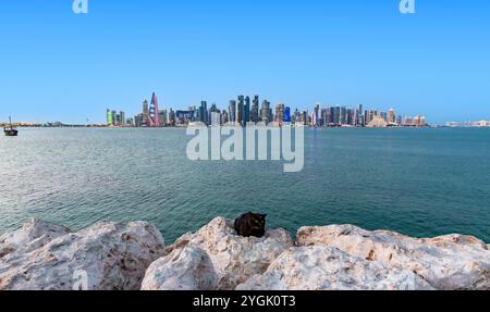 Schwarze Katze vor den Skylines von Doha, Dämmerung, Katar, Persischer Golf, Naher Osten, Asien Stockfoto