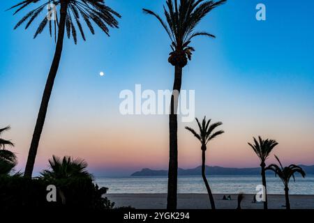 Sunset Beach mit Palmen und Mond im ruhigen Abendhimmel Stockfoto
