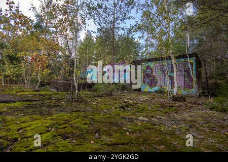 Wald in Schweden mit verlassenen Häusern einer Mine. Birken- und Kiefernwald in der Sonne im Sommer. Landschaftsaufnahmen in der Natur in der Nähe von Amal Schweden Stockfoto