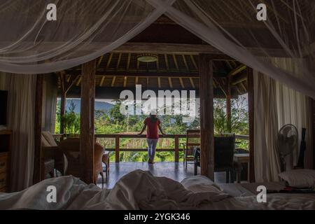 Gartenbereich, Blick von einem Zimmer auf die tropische Vegetation. Wunderschöne Blumen und Palmen in einem wunderschön angelegten Garten. Landschaft in Bali, Indo Stockfoto