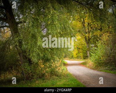 Herbst entlang der alten Glatter Waldwege Stockfoto