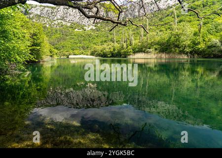 Der Fluss Cetina in der Cetina-Schlucht bei Omis, Kroatien, Europa Stockfoto