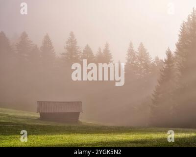 Spätsommer am Geroldsee Stockfoto