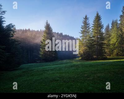 Spätsommer am Geroldsee Stockfoto