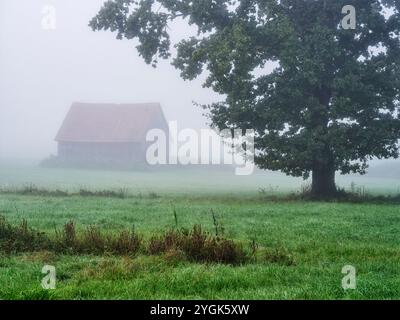 Herbstaufgang im Schmuttertal bei Margertshausen im Naturpark Augsburger Westwälder Stockfoto