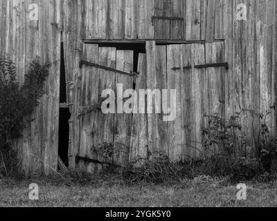 Herbstaufgang im Schmuttertal bei Margertshausen im Naturpark Augsburger Westwälder Stockfoto