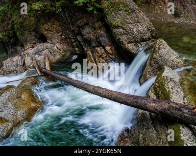 Herbststimmung im Ostertaltobel im Gunzesried-Tal, Naturpark Nagelfluhkette, Allgäu Stockfoto