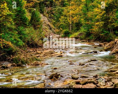 Herbststimmung im Ostertaltobel im Gunzesried-Tal, Naturpark Nagelfluhkette, Allgäu Stockfoto