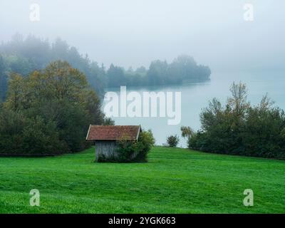 Herbststimmung am Forggensee bei Buching Stockfoto