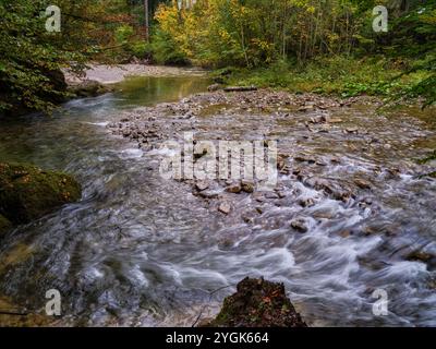 Herbststimmung im Ostertaltobel im Gunzesried-Tal, Naturpark Nagelfluhkette, Allgäu Stockfoto