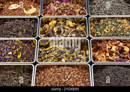 Eine lebhafte Auswahl an losen Tees in Metalldosen mit grünen, schwarzen, Oolong, Rooibos und Kräutermischungen. Reich an Farbe und Aroma. Stockfoto