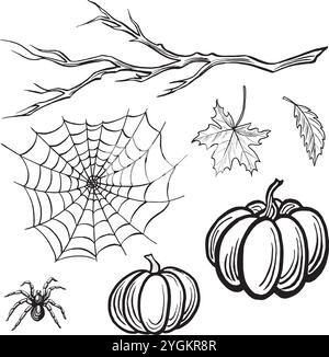 Spinne mit Netz, Kürbisse, Zweig und Blättern. Herbstskizze festlegen. Vektorlinien-Illustrationen, handgezeichnet isoliert. Gefährliche Insekten. Schwarz-weiß Stock Vektor