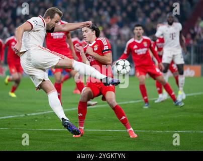 München, Deutschland. November 2024. Fußball: Champions League, Bayern München - Benfica Lissabon, Vorrunde, Spieltag 4 in der Allianz Arena. Harry Kane von München in Aktion. Quelle: Sven Hoppe/dpa/Alamy Live News Stockfoto
