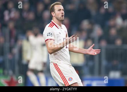 München, Deutschland. November 2024. Fußball: Champions League, Bayern München - Benfica Lissabon, Vorrunde, Spieltag 4 in der Allianz Arena. Harry Kane von München in Aktion. Quelle: Sven Hoppe/dpa/Alamy Live News Stockfoto