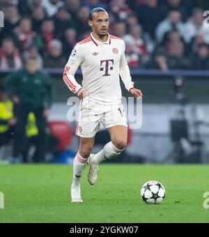 München, Deutschland. November 2024. Fußball: Champions League, Bayern München - Benfica Lissabon, Vorrunde, Spieltag 4 in der Allianz Arena. Leroy Sane aus München spielt den Ball. Quelle: Sven Hoppe/dpa/Alamy Live News Stockfoto