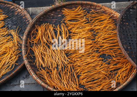 Getrocknete Fischstöcke werden in der Sonne auf einem Markt in Vietnam in Asien getrocknet Stockfoto