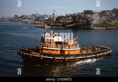 Forschungsschiff Warilla auf Küstengewässern der 1960er Jahre: Ein Farbfoto des Forschungsschiffes Warilla, das in den 1960er Jahren in Küstengewässern unterwegs war Das Schiff, das in einem auffälligen orange-schwarzen Farbschema mit seinem Namen deutlich sichtbar ist, ist mit nahe gelegenen Küstenlandschaften im Hintergrund zu sehen. Ursprünglich für Forschungszwecke genutzt, war die Warilla Teil des Seeverkehrs im Südpazifik und in den umliegenden Gebieten. Das Bild zeigt das einzigartige Design des Schiffes und die maritime Technologie der Epoche und bietet einen Einblick in historische Forschungsaktivitäten auf See. Stockfoto