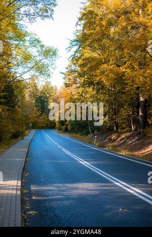 Eine friedliche Straße schlängelt sich im Herbst durch einen Wald, umgeben von goldenem Laub. Die frische Luft und der klare Pfad laden Sie ein, die Schönheit der Natur zu erkunden Stockfoto