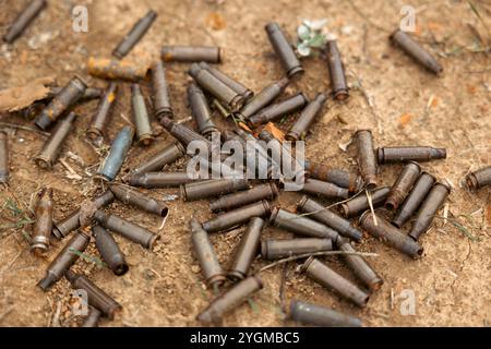 Leere Karabiner- oder Gewehrpatronen. Eine große Anzahl von Fällen. Hintergrund von Messingmunition Patronen zur Darstellung bewaffneter Konflikte, Krieg oder Schießerei Stockfoto