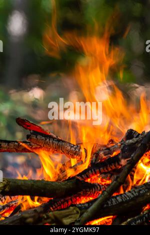 Flamme des Holzkohlefeuers. Herd zum Kochen und Heizen. Gefahr im Wald. Stockfoto