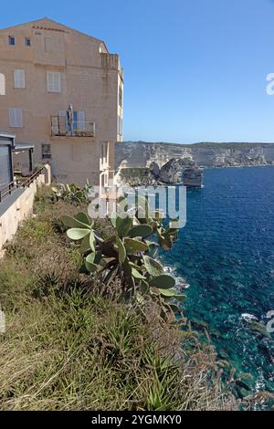 Bonifacios Felsenfestung auf Korsika steht im Sommer über türkisfarbenem Mittelmeer und zerklüfteten Felsen Stockfoto