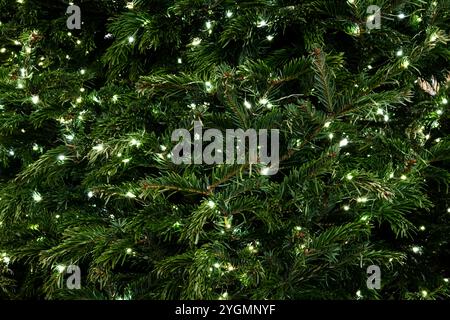 Weihnachtshintergrund. Nahaufnahme von Tannenzweigen mit glühender Girlande. Stockfoto