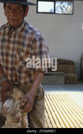 Rancher in Patagonien, Argentinien Stockfoto