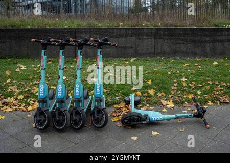 Geparkte und umgestürzte Dott E-Scooter im Herbst 07.11.24, Frankfurt: Symbolfoto, Illustrationsbild, Symbolbild, Illustrationsfoto, Alltagsszene Geparkte und umgestürzte Dott E-Scooter im Herbst mehrere Dott E-Scooter stehen ordentlich in einer Reihe auf einem Bürgersteig, während einer von ihnen umgestürzt im Gras liegt. Die Szene ist von herbstlichen Blättern auf dem Boden und einer urbanen Kulisse geprägt, die Kontrast zwischen Ordnung und Unordnung in der städtischen Mobilität zeigen. Frankfurt Hessen Deutschland *** geparkte und umgekippte Dott E Scooter im Herbst 07 11 24, Frankfurt Symbo Stockfoto