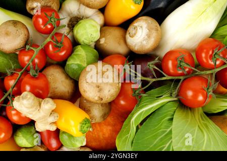 Nahaufnahme von Bio-Mischgemüse, das den gesamten Rahmen füllt. Enthält Pac Choi, rote Zwiebeln, Knoblauch, Rosenkohl, Tomaten, Paprika, Pilze Stockfoto