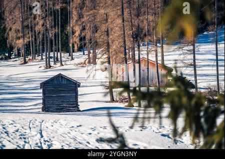 Dolomiten im Winter. Val Fiscalina, zwischen Gipfeln, Lärchenwäldern, Pinien und warmen Hütten. Stockfoto