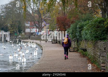 Windsor, Berkshire, Großbritannien. November 2024. Eine Frau läuft an der Themse entlang. Es war ein weiterer langweiliger, aber milder Morgen in Windsor, Berkshire. Eine antizyklische Dunkelheit in ganz England setzt sich fort. Quelle: Maureen McLean/Alamy Live News Stockfoto