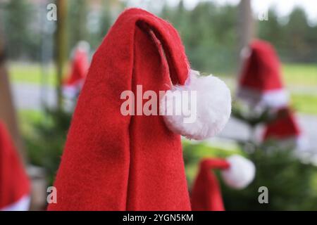 08. November 2024, Brandenburg, Werder (Havel): Weihnachtsmützen hängen auf den Wipfeln von Weihnachtsbäumen. Die diesjährige Weihnachtsbaumsaison in Brandenburg begann mit dem Fällen der ersten Tannen. Foto: Michael Bahlo/dpa Stockfoto