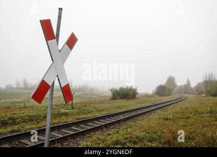 Ein Andreaskreuz steht an einem Höhenübergang einer Nebenbahn der Bahnstrecke bei Neugarten, 06.11.2024, Neugarten, Brandenburg, Deutschland, Europa Stockfoto